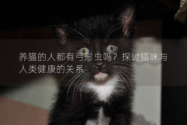 养猫的人都有弓形虫吗？探讨猫咪与人类健康的关系