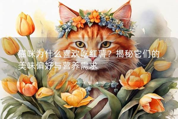 猫咪为什么喜欢吃红薯？揭秘它们的美味偏好与营养需求