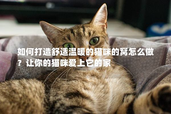 如何打造舒适温暖的猫咪的窝怎么做？让你的猫咪爱上它的家