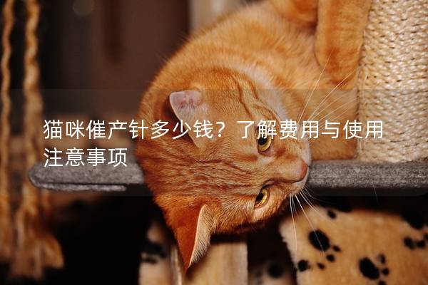 猫咪催产针多少钱？了解费用与使用注意事项