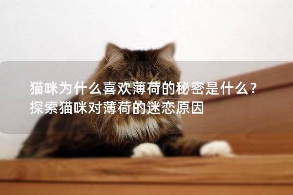 猫咪为什么喜欢薄荷的秘密是什么？探索猫咪对薄荷的迷恋原因