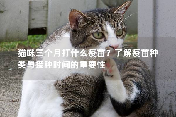 猫咪三个月打什么疫苗？了解疫苗种类与接种时间的重要性