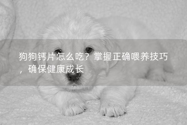 狗狗钙片怎么吃？掌握正确喂养技巧，确保健康成长