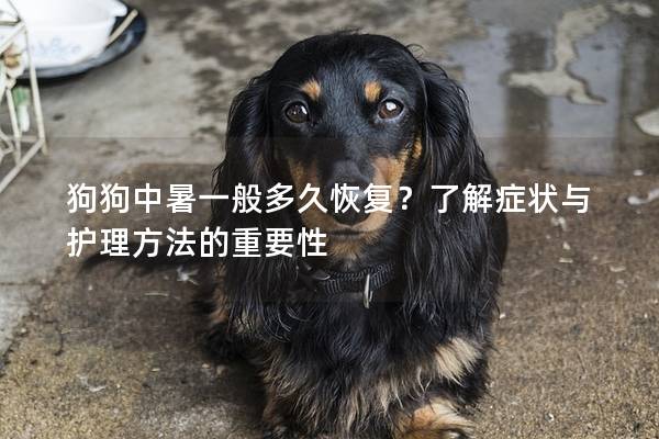 狗狗中暑一般多久恢复？了解症状与护理方法的重要性