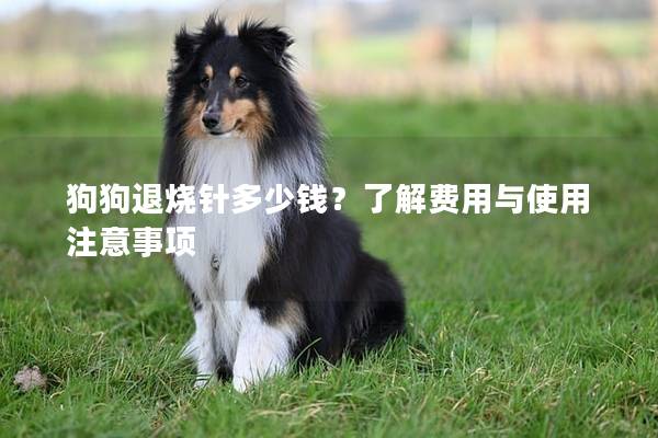 狗狗退烧针多少钱？了解费用与使用注意事项