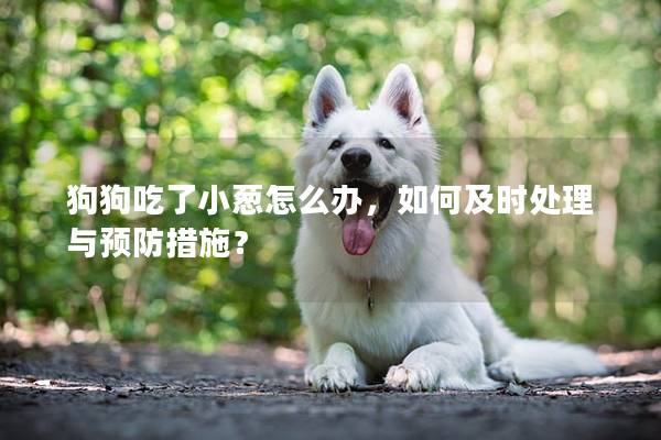 狗狗吃了小葱怎么办，如何及时处理与预防措施？