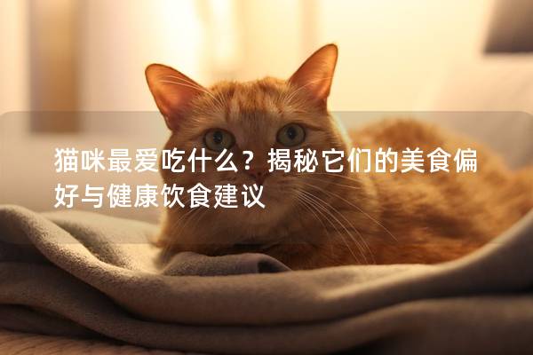 猫咪最爱吃什么？揭秘它们的美食偏好与健康饮食建议