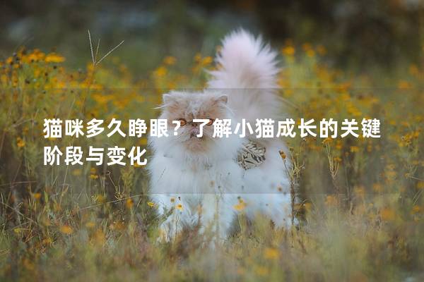 猫咪多久睁眼？了解小猫成长的关键阶段与变化