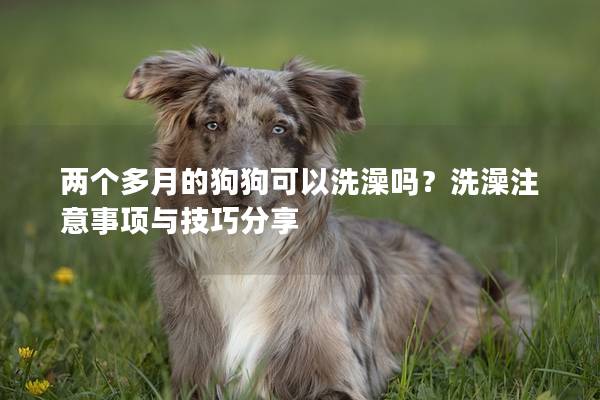 两个多月的狗狗可以洗澡吗？洗澡注意事项与技巧分享