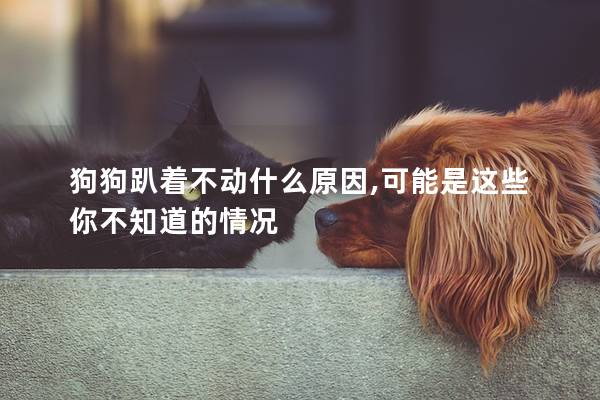 狗狗趴着不动什么原因,可能是这些你不知道的情况