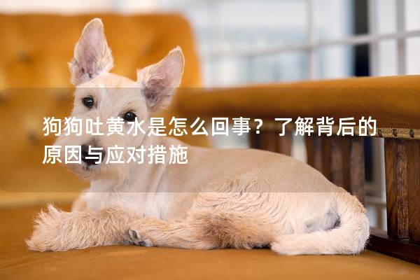 狗狗吐黄水是怎么回事？了解背后的原因与应对措施