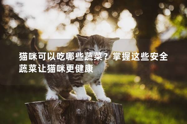 猫咪可以吃哪些蔬菜？掌握这些安全蔬菜让猫咪更健康