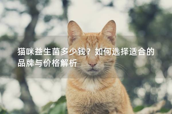 猫咪益生菌多少钱？如何选择适合的品牌与价格解析