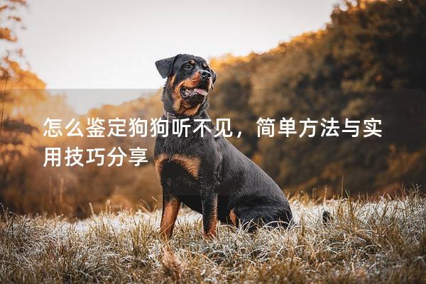 怎么鉴定狗狗听不见，简单方法与实用技巧分享