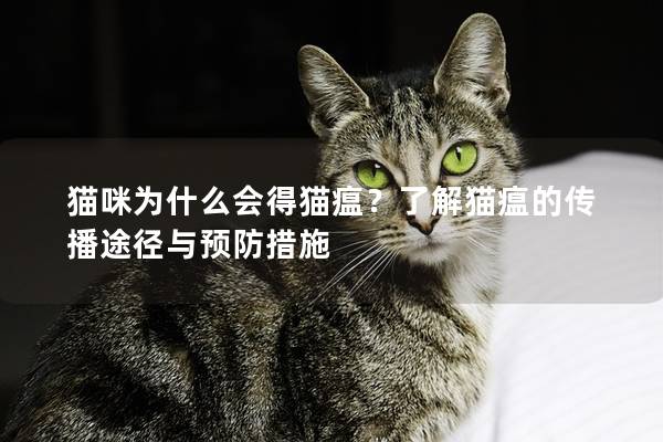 猫咪为什么会得猫瘟？了解猫瘟的传播途径与预防措施