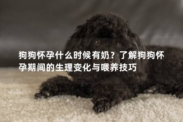 狗狗怀孕什么时候有奶？了解狗狗怀孕期间的生理变化与喂养技巧