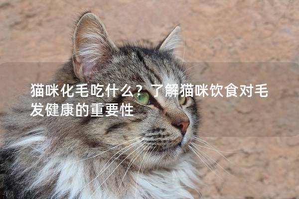 猫咪化毛吃什么？了解猫咪饮食对毛发健康的重要性