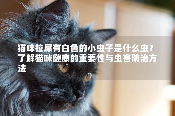 猫咪拉屎有白色的小虫子是什么虫？了解猫咪健康的重要性与虫害防治方法