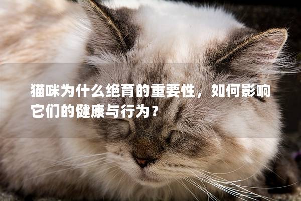 猫咪为什么绝育的重要性，如何影响它们的健康与行为？