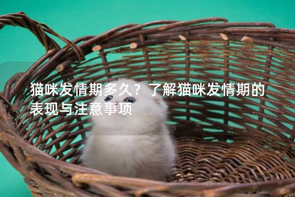 猫咪发情期多久？了解猫咪发情期的表现与注意事项