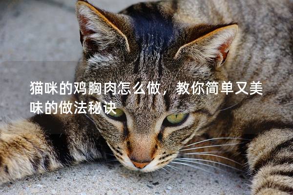 猫咪的鸡胸肉怎么做，教你简单又美味的做法秘诀