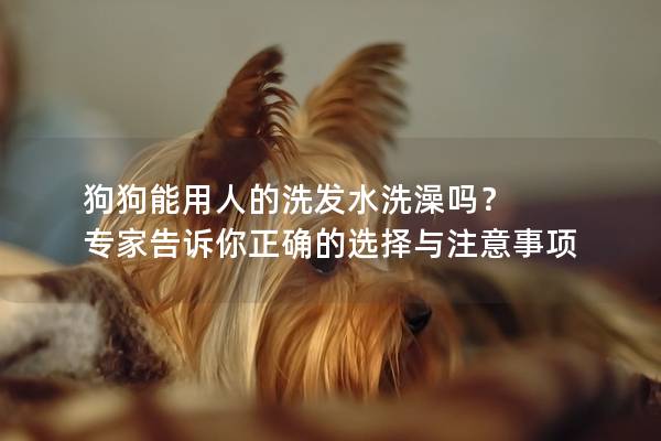 狗狗能用人的洗发水洗澡吗？ 专家告诉你正确的选择与注意事项