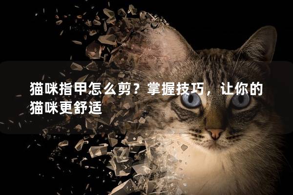 猫咪指甲怎么剪？掌握技巧，让你的猫咪更舒适