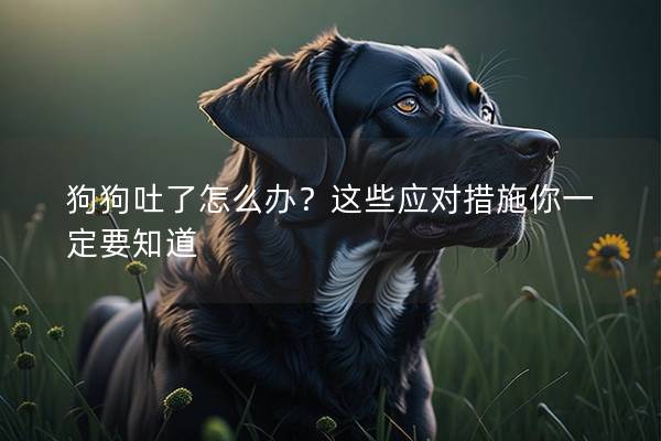 狗狗吐了怎么办？这些应对措施你一定要知道