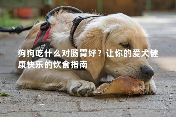 狗狗吃什么对肠胃好？让你的爱犬健康快乐的饮食指南