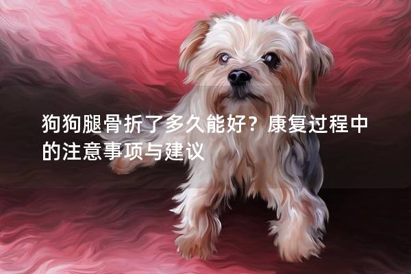 狗狗腿骨折了多久能好？康复过程中的注意事项与建议