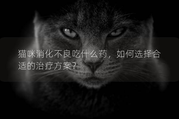 猫咪消化不良吃什么药，如何选择合适的治疗方案？