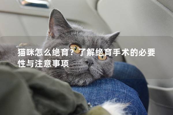 猫咪怎么绝育？了解绝育手术的必要性与注意事项