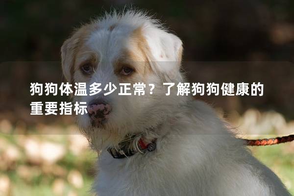 狗狗体温多少正常？了解狗狗健康的重要指标