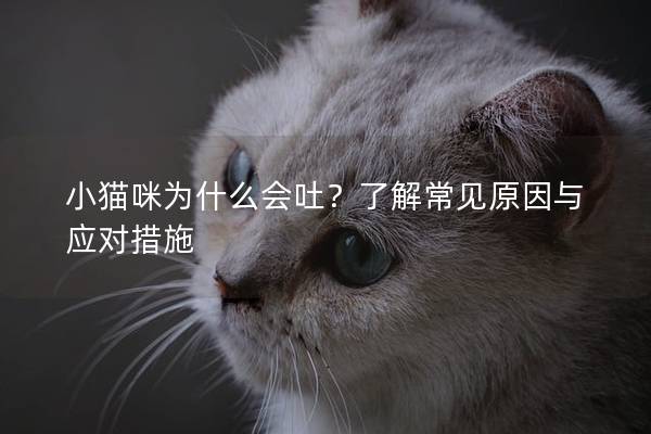 小猫咪为什么会吐？了解常见原因与应对措施