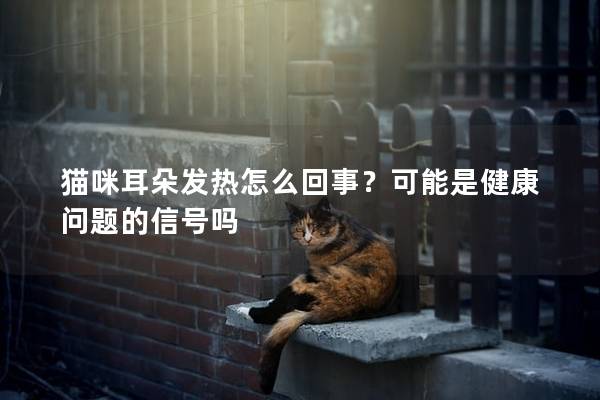 猫咪耳朵发热怎么回事？可能是健康问题的信号吗