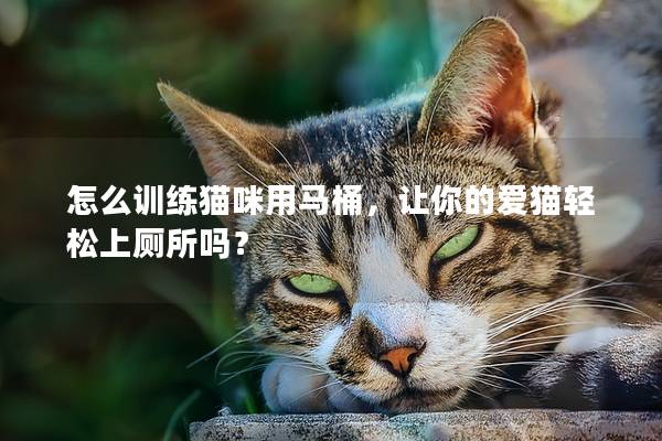 怎么训练猫咪用马桶，让你的爱猫轻松上厕所吗？