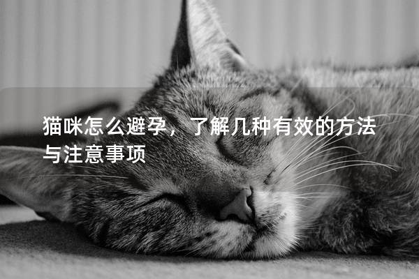 猫咪怎么避孕，了解几种有效的方法与注意事项