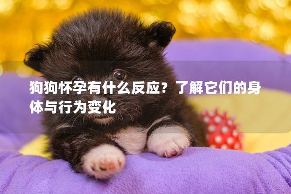 狗狗怀孕有什么反应？了解它们的身体与行为变化