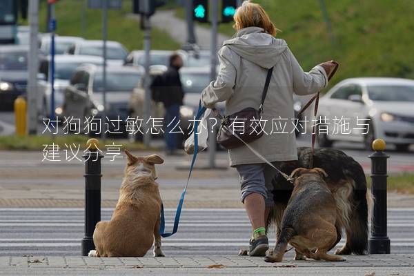 对狗狗过敏怎么办？有效应对措施与建议分享