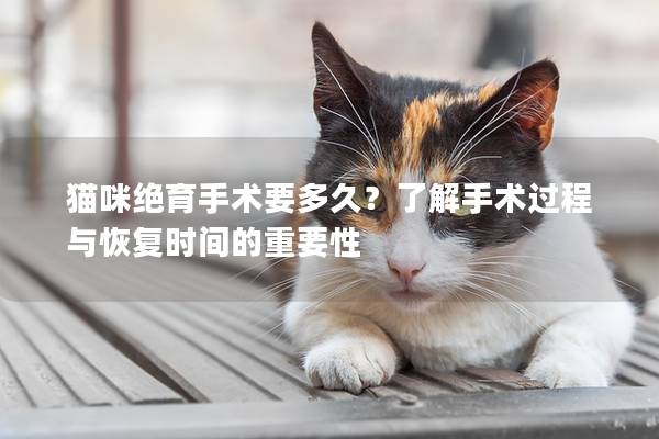 猫咪绝育手术要多久？了解手术过程与恢复时间的重要性