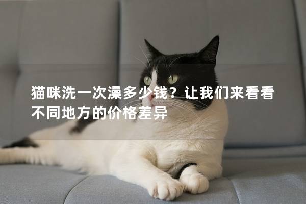 猫咪洗一次澡多少钱？让我们来看看不同地方的价格差异