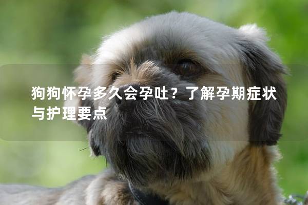 狗狗怀孕多久会孕吐？了解孕期症状与护理要点