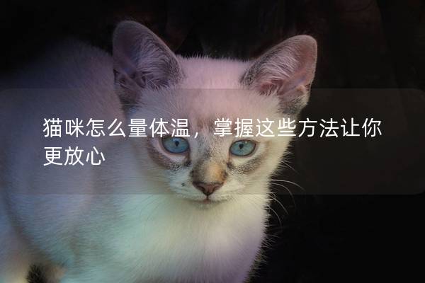 猫咪怎么量体温，掌握这些方法让你更放心