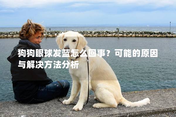 狗狗眼球发蓝怎么回事？可能的原因与解决方法分析