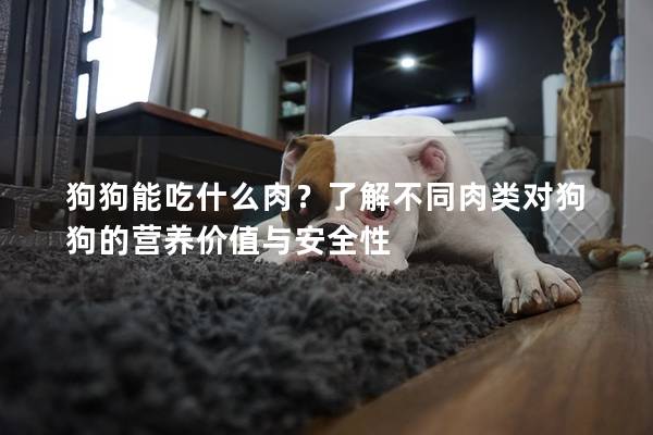 狗狗能吃什么肉？了解不同肉类对狗狗的营养价值与安全性