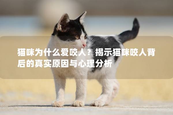 猫咪为什么爱咬人？揭示猫咪咬人背后的真实原因与心理分析