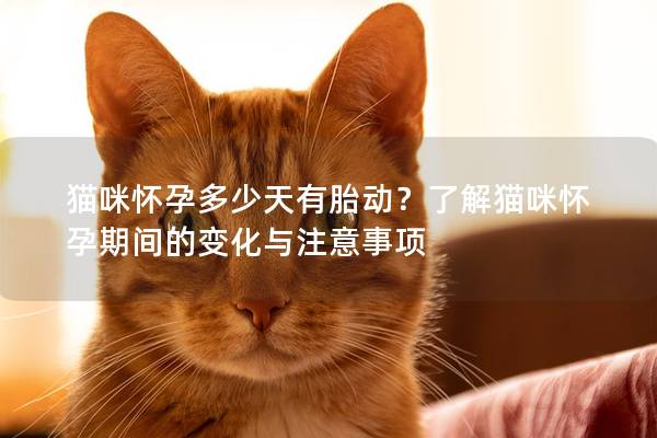 猫咪怀孕多少天有胎动？了解猫咪怀孕期间的变化与注意事项