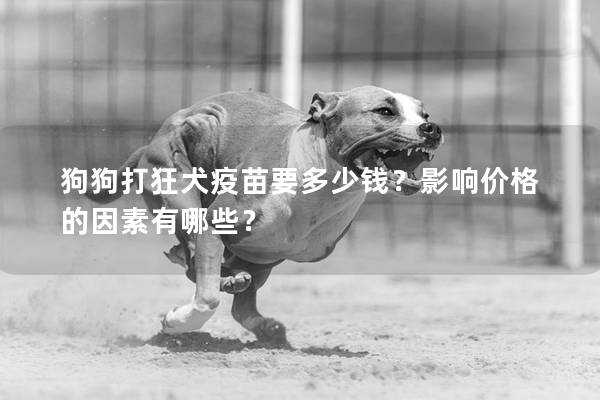 狗狗打狂犬疫苗要多少钱？影响价格的因素有哪些？