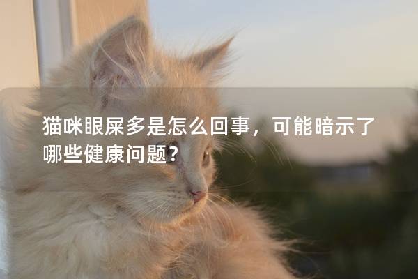 猫咪眼屎多是怎么回事，可能暗示了哪些健康问题？