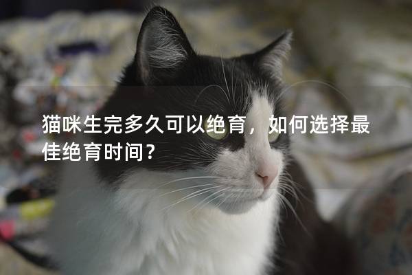 猫咪生完多久可以绝育，如何选择最佳绝育时间？